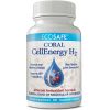 Coral LLC – Cell Energy – Molecular Hydrogen Capsules Plus 74 bio-Available Coral Minerals – 60 Vegetable Capsules